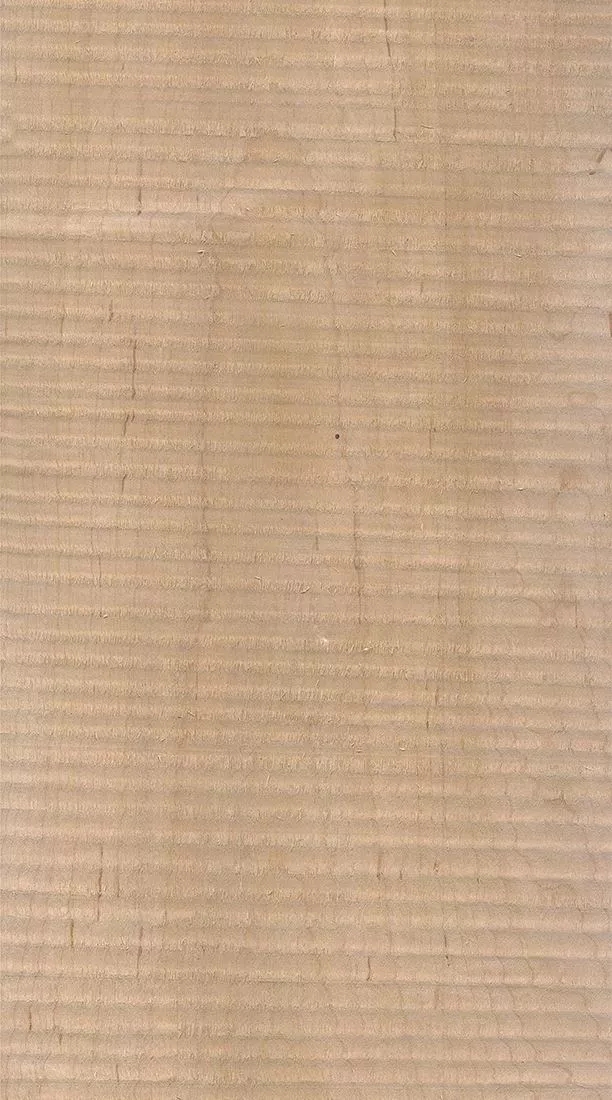 桦木的芯材颜色是淡红棕色，边材颜色近白色，板面宽且带影的木皮市场价格良好，纹理通常是直纹和波浪纹，质地均匀，板面有很好的自然光泽度。.webp.jpg